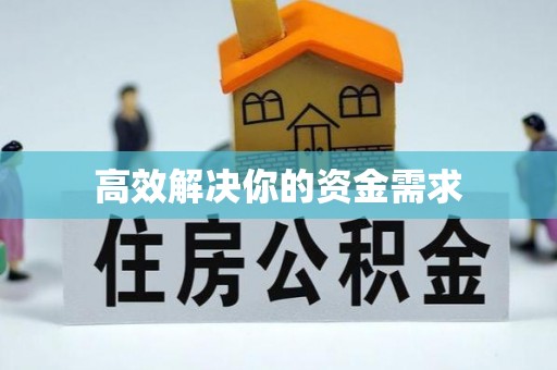 高树高效解决你的资金需求