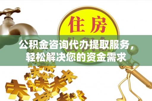 高树公积金咨询代办提取服务，轻松解决您的资金需求