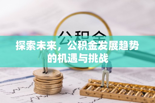 高树探索未来，公积金发展趋势的机遇与挑战