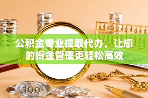 高树公积金专业提取代办，让您的资金管理更轻松高效