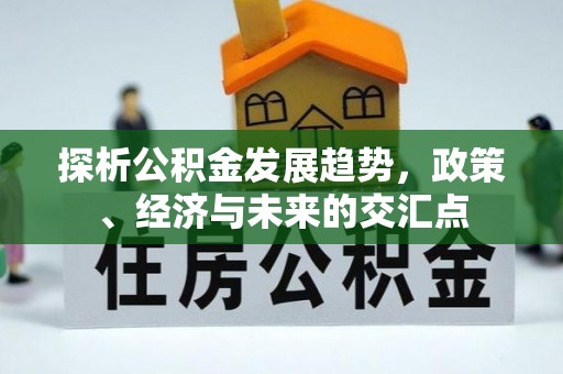 高树探析公积金发展趋势，政策、经济与未来的交汇点