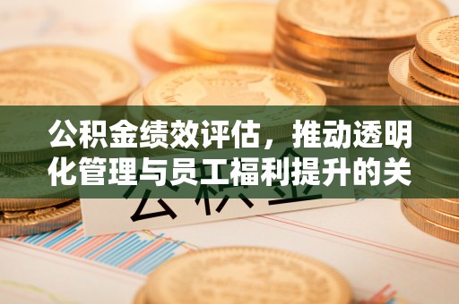 高树公积金绩效评估，推动透明化管理与员工福利提升的关键