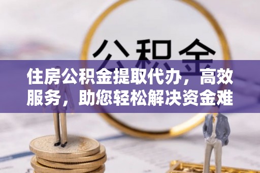 高树住房公积金提取代办，高效服务，助您轻松解决资金难题