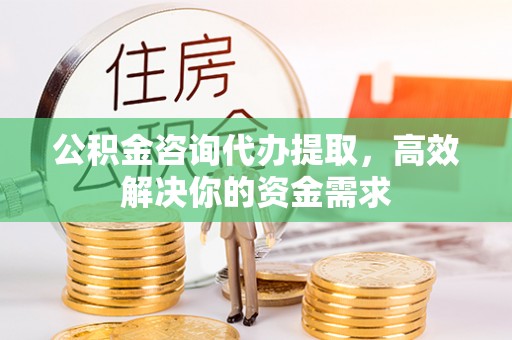 高树公积金咨询代办提取，高效解决你的资金需求