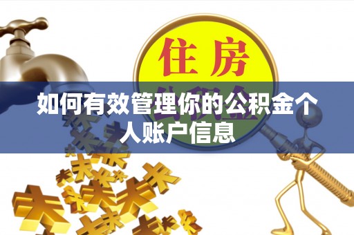 高树如何有效管理你的公积金个人账户信息