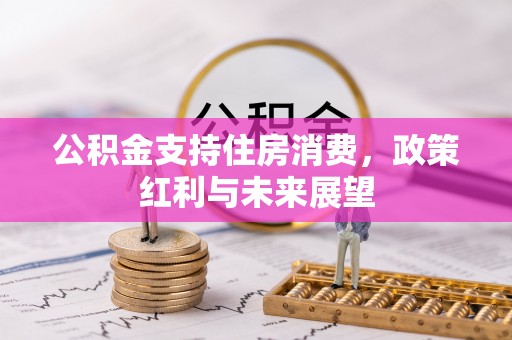 高树公积金支持住房消费，政策红利与未来展望