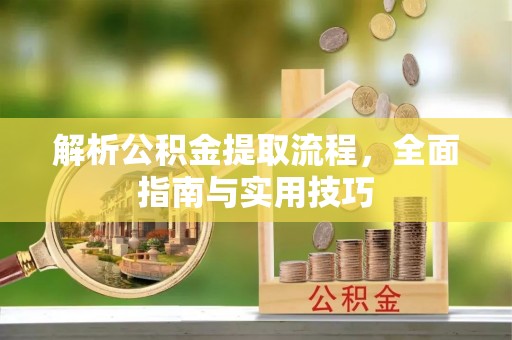 高树解析公积金提取流程，全面指南与实用技巧