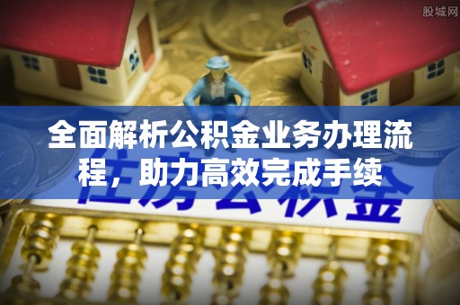 高树全面解析公积金业务办理流程，助力高效完成手续