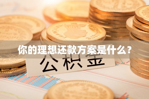 高树你的理想还款方案是什么？