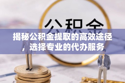 高树揭秘公积金提取的高效途径，选择专业的代办服务