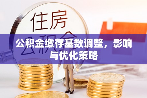 高树公积金缴存基数调整，影响与优化策略