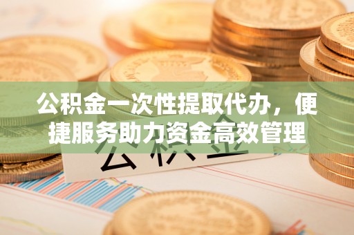 高树公积金一次性提取代办，便捷服务助力资金高效管理
