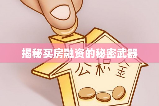 高树揭秘买房融资的秘密武器