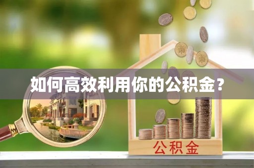 高树如何高效利用你的公积金？
