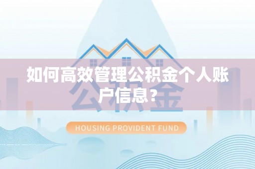 高树如何高效管理公积金个人账户信息？