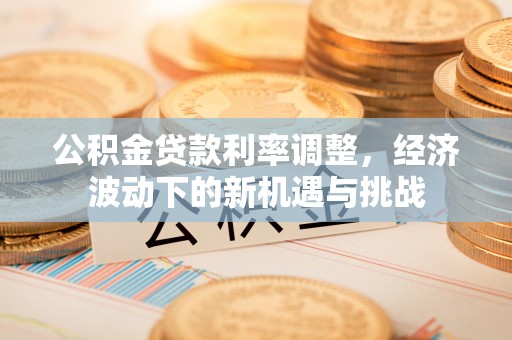 高树公积金贷款利率调整，经济波动下的新机遇与挑战