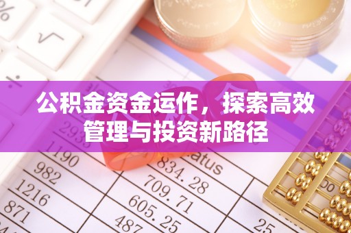 高树公积金资金运作，探索高效管理与投资新路径