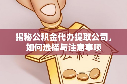 高树揭秘公积金代办提取公司，如何选择与注意事项