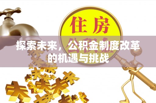 高树探索未来，公积金制度改革的机遇与挑战