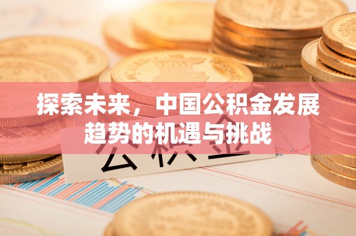 高树探索未来，中国公积金发展趋势的机遇与挑战