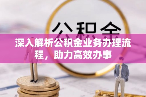 高树深入解析公积金业务办理流程，助力高效办事