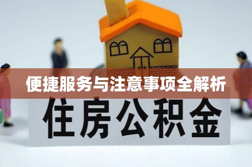 高树便捷服务与注意事项全解析