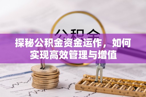 高树探秘公积金资金运作，如何实现高效管理与增值