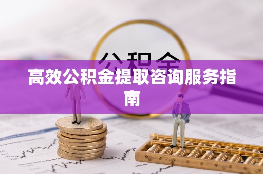 高树高效公积金提取咨询服务指南