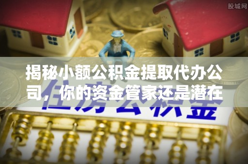 高树揭秘小额公积金提取代办公司，你的资金管家还是潜在陷阱？