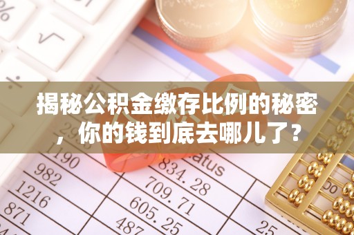 高树揭秘公积金缴存比例的秘密，你的钱到底去哪儿了？