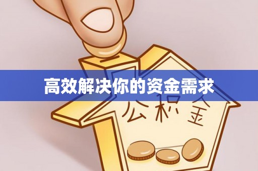 高树高效解决你的资金需求