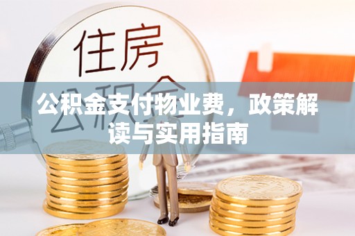 高树公积金支付物业费，政策解读与实用指南