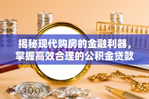 高树揭秘现代购房的金融利器，掌握高效合理的公积金贷款流程