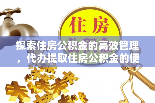 高树探索住房公积金的高效管理，代办提取住房公积金的便利与注意事项
