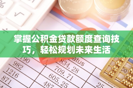 高树掌握公积金贷款额度查询技巧，轻松规划未来生活