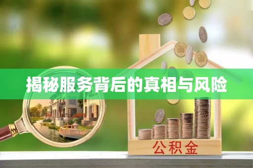 高树揭秘服务背后的真相与风险